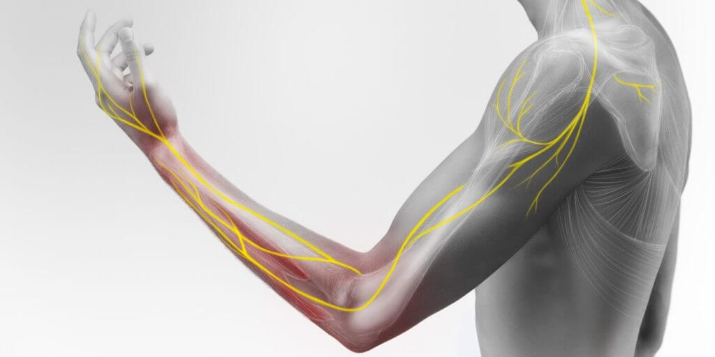ELECTROMYOGRAPHY/ NERVE CONDUCTION STUDY Hands On Diagnostics of AK